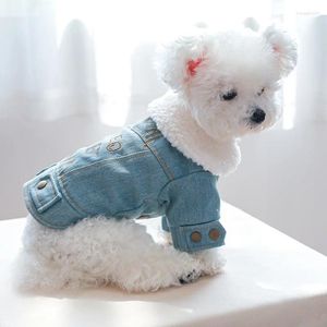 Abbigliamento per cani Abbigliamento per animali domestici Prodotti autunnali e invernali con cappotto in denim spesso di lana Gatto caldo cotone per cani nel 2024