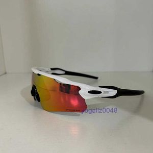 스포츠 안경 야외 사이클링 선글라스 UV400 편광 렌즈 사이클링 안경 MTB 자전거 고글 남자 EV 라이딩 태양 안경 여러 렌즈 케이스