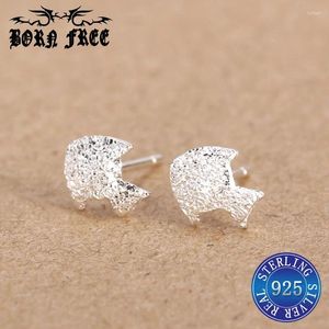 Kolczyki stadnorskie 925 Sterling Silver Fashion Biżuteria Kobiety Kobiety aros mujer oreja joyas de plata ohrringe małe uchwyty