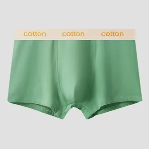 Underpants Sexy Men Trunks Solid Daily Underwear Shorts Panties Breathable Boxers Briefs Pouch Bulge Male Slip Homme