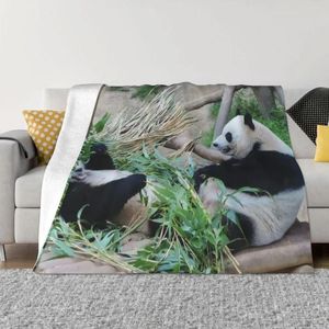Filtar fubao panda fu bao djur aibao filt mjuk plysch flanell fleece kast för sovrum rumsdekor