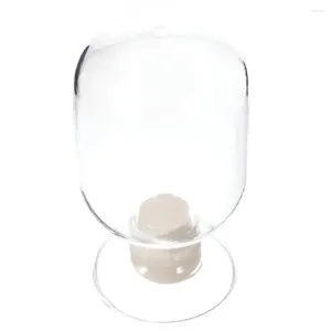 Vaser flaskkottehållare transparent glasprov Hållbart multifunktionell laboratoriedisplay