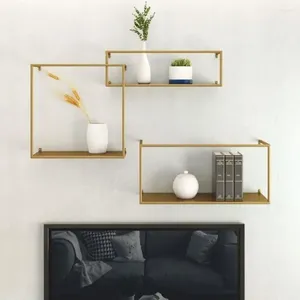 Decorative Plates Wall Wrought Iron Shelf Nordic Gold Metal Frame Rack Bookshelf Background Decoration Display Stand Potted NJ71420