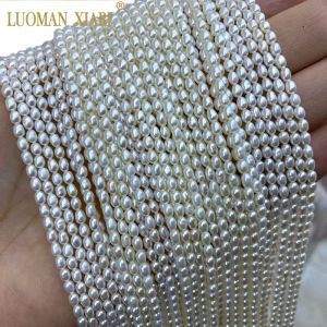 Jewelry Wholesale Aa / Aaa Good Quality 100% Natural Freshwater Pearl Rice Button Baroque Beads for Jewelry Making Diy Bracelet 311mm