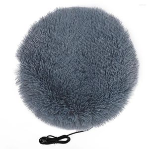 Hundeträger, hohe Zuverlässigkeit, elektrische Decke, Katze, Heizung, Plüschmatte, Haustier, Haustiere, Winter, USB-Aufladung für kleine Hunde