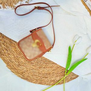 女性の夏のための茶色の汎用性のあるInstagramニッチバッグ