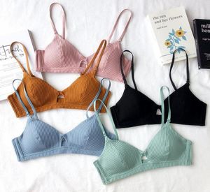 Only a bra colors cotton small cup bras with pad women sexy sleepwear Bralette thin wire comfort brassiere for girls