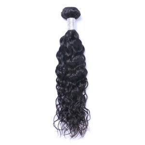 Wefts brasilianska jungfruliga mänskliga hår naturliga våg vatten våg obearbetat remy hår väver dubbla wefts 100g/bunt 1bundle/parti kan färgas