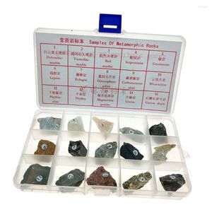 Decorative Figurines Metamorphic Rock Specimen Educational Real Stone Teaching Aid