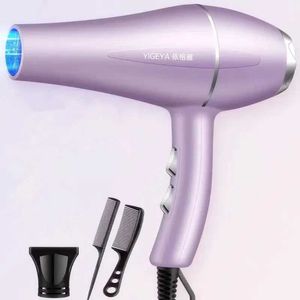 220 V Haartrockner Haartrockner Professional 1200W Ausrüstung Starker Kraft -Blow -Haartrockner Pinsel für Friseur -Friseursalon -Werkzeuge Haartrockner Lüfter 240403