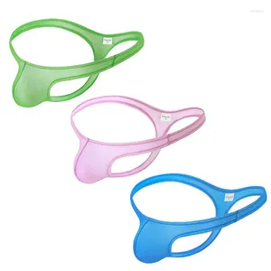 Majaki 3pcs seksowne gejowskie majtki string g-string jockstrap ultra-cienki Transparent Slip Homme Penis Woja bieliznę Cuecas Men Mettia