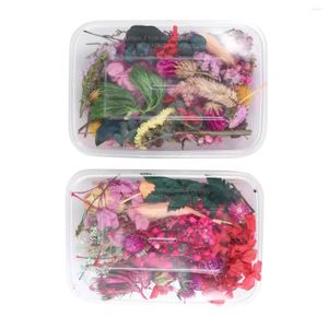 Dekoratif çiçekler 2 kutu gerçek kuru renkli doğal kuru pres tırnak takı reçine epoksi yapmak pamuk yapmak