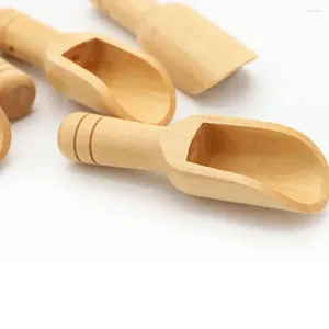 Cucchiai Scoop Cucchiaino da tè in polvere Rotondo Sale Paletta Manico Cucchiaio Caffè Condimento Pala da zucchero in legno 3 pezzi Piccolo tè Latte Mini Legno