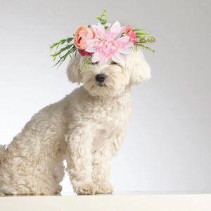 Coleiras de cachorro POPETPOP Flor Headband Headwear Folhas Grinalda Natural para Gatos Decoração de Casamento Colarinho Noivo