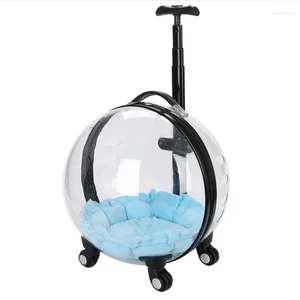 Dog Carrier Transparent Pet Travel Trolley For Puppies Dogs Cat Carriers Bag With Wheel