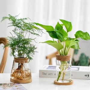 Vaser mini hydroponic blomkruka hem vas dekor transparent glas Sjudelösa växtkrukor Tablett Garden Planters Decoration