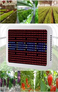 Pełne spektrum LED LED Lights 400W600W LED Lights Hode Lampa roślinna dla roślin Vegs Hydroponika System Growbloom Flower 8217903