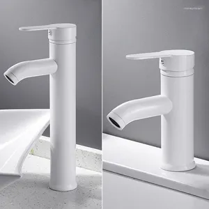 Bathroom Sink Faucets White Black Faucet Cold Water Mixer Tap Stainless Steel Paint Basin Single Hole Tapware