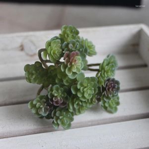 Fiori decorativi piante bonsai 24 teste succulente micro paesaggio simulazione succulenta bonsais balcone fiore di piantagione di casa decorazione