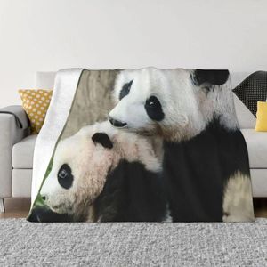 Decken FuBao Panda Fu Bao Decke, weicher Plüsch, Ganzjahres-Komfortüberwurf für luxuriöse Bettwäsche, Heimdekoration