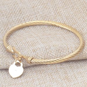 Steel Titanium Bracelet for Women Fashion Bangle Womens Gold Silver Heart Street Accessories