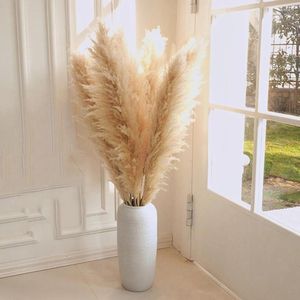 Dekoratif çiçekler 80cm pampas çim ekstra büyük doğal beyaz gri kuru çiçek buket kabarık boho vintage ev düğün dekorasyon