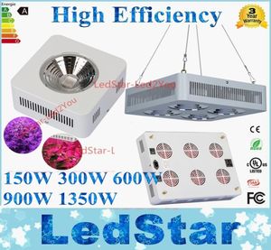 Factory Lowest COB 150W 300W 600W 900W 1350W 543W Led Grow Lights Full Spectrum Led Plant Hydroponic Grow Led Lights5912289