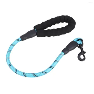 Dog Collars 60cm Pet Traction Rope Reflective Leashes Walking Nylon Belt Practical Chain (Sky-blue)