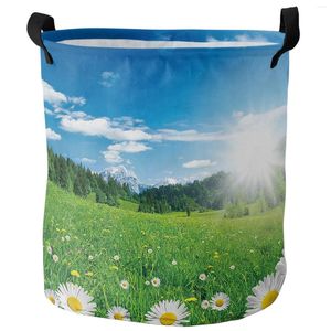 Bolsas de lavanderia Flor Morning Daisy Blossoms