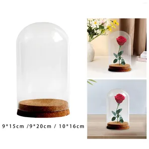 Vasos preservados flor vidro tampa cúpula sino display transparente