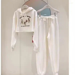 Pantaloni a due pezzi da donna online Celebrity Fried Street Suit maglione stile corto Set 2024 abbigliamento sportivo casual primaverile e autunnale