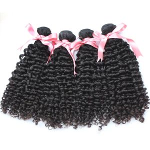 Wefts Greatremy 4st Lot Brasilianska mänskliga hårbuntar 830 Naturlig färg Dyable Deep Curly Virginhair Extensions Factory Hairweft