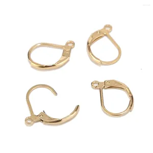 Brincos de pântano 10pcs/definido de alta qualidade Gancho de brinco hipoalergênico CABEÇA ALAVACIMENTO FIROS DE EAR ARIGO DE EAR ARIGENDENTE AÇONENS GOLD PLATED para mulheres Presentes