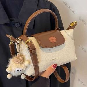 2024 Maillard 스타일 패션 가방 2023 New Womens Crossbody 만두 가방 가을 겨울 지갑 및 핸드백 고급 디자이너 미니 가방