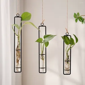 Vaser transparent teströr blomkruka vägg hängande förtjockad glas vas nordisk planter grön växt