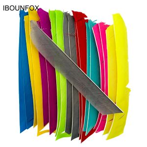 25pcs Comprimento total 18-25 cm Penas de peru para seta Multicolor Real Arrow Feather Fletching para acessórios de arco-arco-e flecha