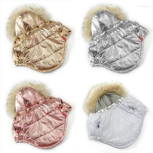 Hundekleidung wasserdichte Kleidung Hoodie Haustier Kleidung für Pitbull Bronzing Mantel Verdickter Welpe Kostüm Winter warme Jacke kleine Hunde