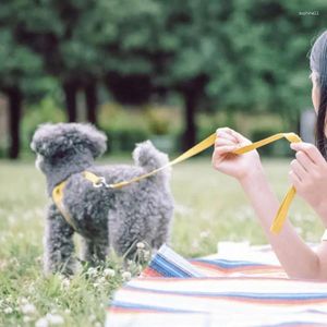 Köpek yakası koşum takımı ve tasma seti küçük köpekler için ayarlanabilir köpek evcil hayvan aksesuarları yelek yürüyüş kolay kontrol yumuşak