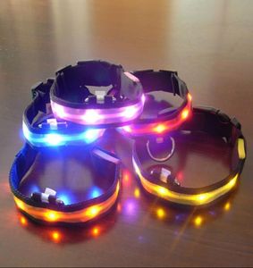 Nylon LED Pet Dog Collar Night Safety Plashing Collars Growlace Collo Dog Leash Dogs Collars Luminous Pet Production Promotion7755062