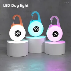 Coleiras para cães, economia de energia, luz led luminosa, pingente para animais de estimação, pequenos-grandes, acessórios para coleira, suprimentos, correa perro perros accesorios