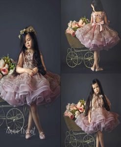 Симпатичные короткие платья с цветочницей для свадебного кружева 3D цветочное аппликация на день рождения ношение первого платья причастия блеск роскошные девушки Pagea2120467