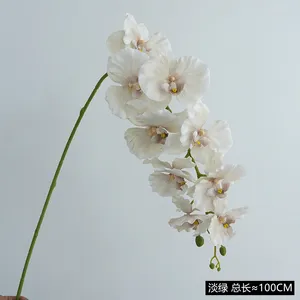 装飾的な花changxiuyuanling