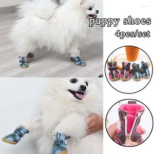 Scarpe a maglie molla di abbigliamento per cani che tendono di manzo senza slip stivali da cani per piccole sneaker per animali domestici da passeggiata all'aperto con cerniere