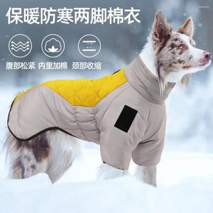 Köpek Kıyafet Kış Evcil Giysileri Yansıtıcı Sıcak Büyük Pamuklu Tasarlanmış İki Ayak Toptan