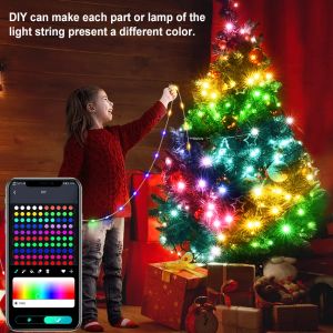 Bluetooth RGBIC WS2812B 5V Fairy Light String 5m 10m 10LEDS/M VATTERPROSED DREAMCOLOR RGB Chasing Decor Room Outdoor Holiday Light