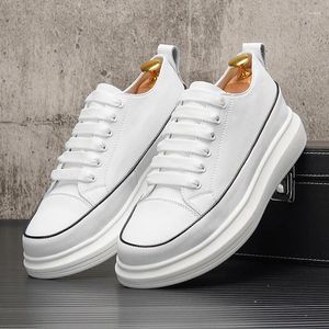 Scarpe casual uomini in stile coreano per il tempo libero in pelle naturale allacciata scarpa piattaforma bianca traspirante sneaker stradali giovanile calzature maschio maschio