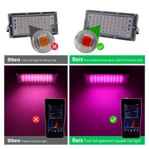 LEVAS LIVRAS LED AC 220V 50W LED LED FULLAÇÃO PHYTO LAMPOS PARA PLANTES SEMENTES Hidroponics Greenhouse Plantas Crescimento Phytolamp