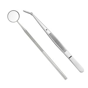 4/5/6 datorer Rostfritt stål tandläkare Förberedda verktygsuppsättningar Instrument pincezer Sickle Scaler Mirror Tartarfor Rostfritt stål Instrument