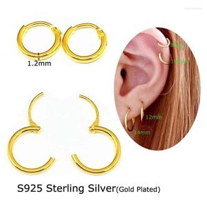 Orecchini a cerchio 1 Pairs 925 Sterling in argento Small Conch Daith Piercings 8-20mm