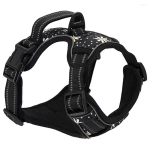 Collari per cani Collarlogo senza cablaggio e guinzaglio Set A9 Riflettente regolabile Easy Control con PET con corda pesante